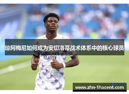 琼阿梅尼如何成为安切洛蒂战术体系中的核心球员