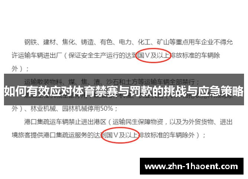 如何有效应对体育禁赛与罚款的挑战与应急策略
