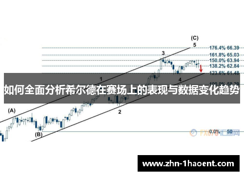 如何全面分析希尔德在赛场上的表现与数据变化趋势