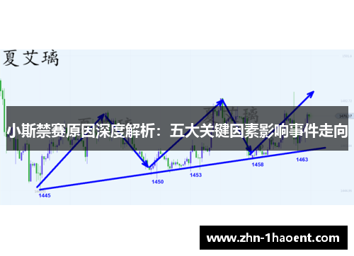 小斯禁赛原因深度解析：五大关键因素影响事件走向