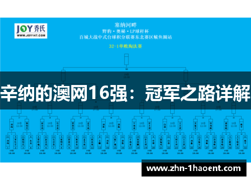 辛纳的澳网16强：冠军之路详解