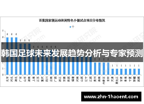 韩国足球未来发展趋势分析与专家预测
