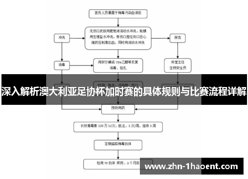 深入解析澳大利亚足协杯加时赛的具体规则与比赛流程详解 深入解析澳大利亚足协杯加时赛的具体规则与比赛流程详解